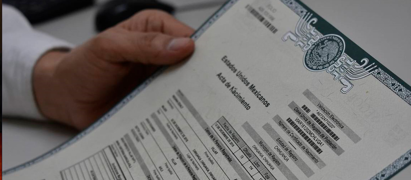 Especialista en trámites